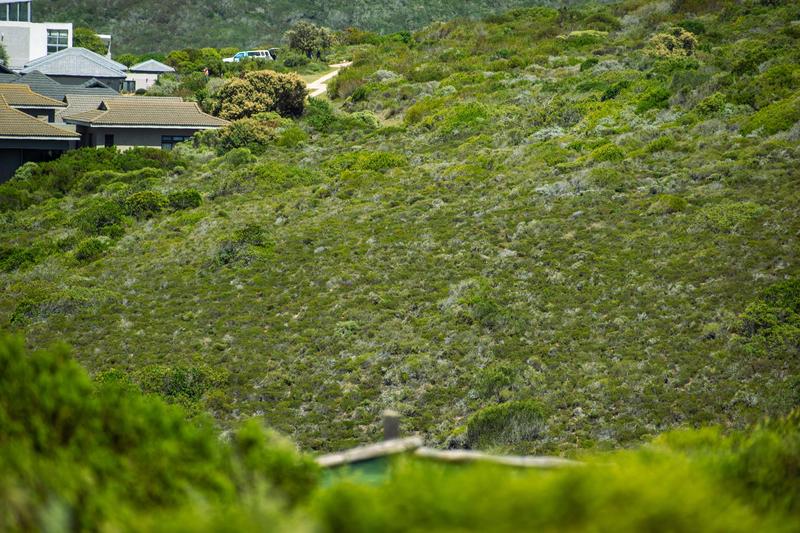 0 Bedroom Property for Sale in Moquini Coastal Estate Western Cape